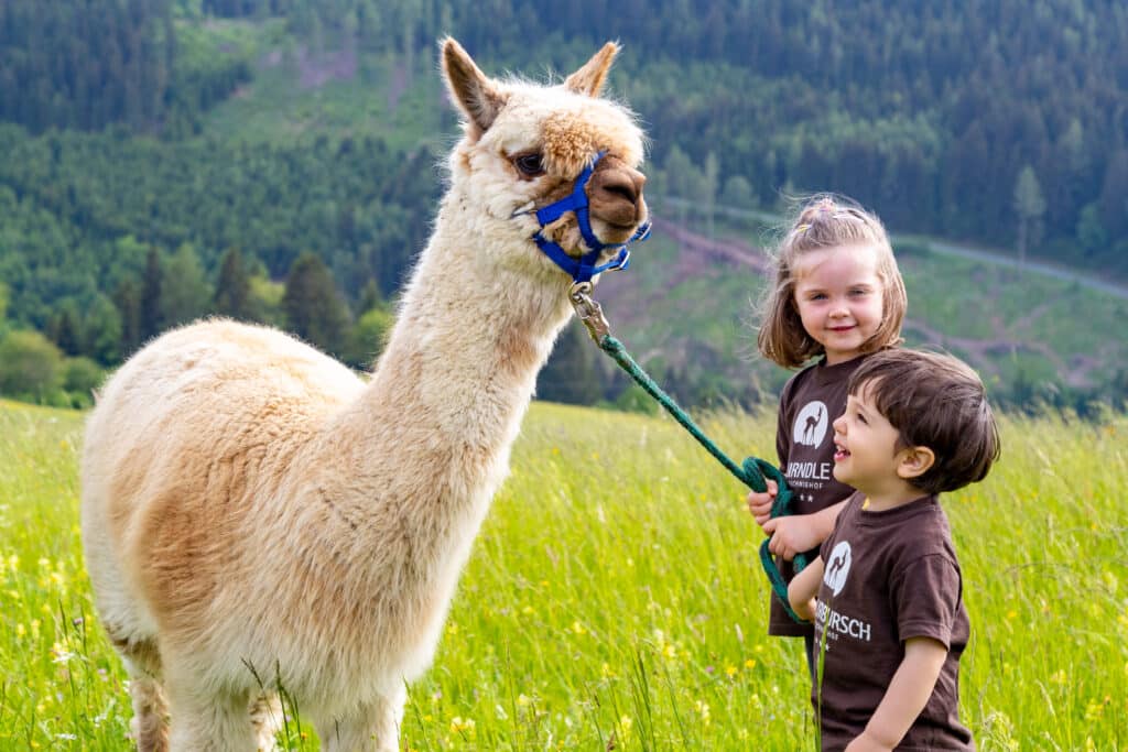 Petschnighof Erlebnisbauernhof Bauernhofurlaub für Familien Alpaka
