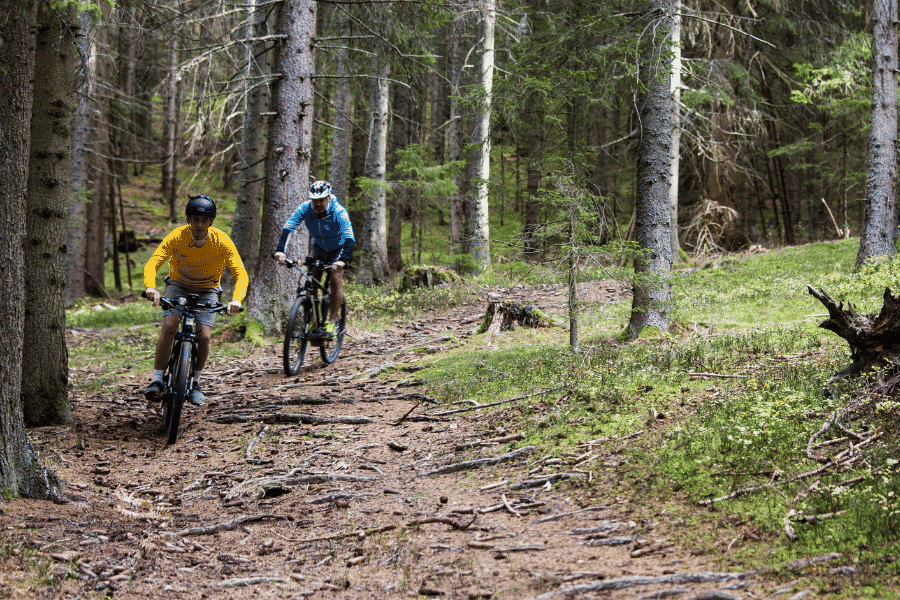 Zwei Männer fahren mit dem Mountainbike auf einem naturbelassenen Waldweg nahe dem Petschnighof durch den Kärntner Wald.